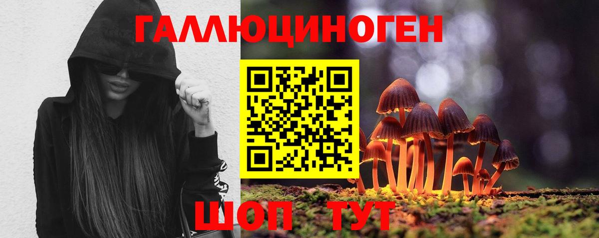 Псилоцибиновые грибы Psilocybine cubensis Алушта