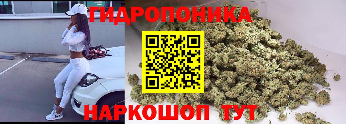 Бошки марихуана White Widow  Бошки марихуана SATIVA & INDICA  Алушта  Канабис марихуана  Вход с VPN  Конопля Bruce Banner 